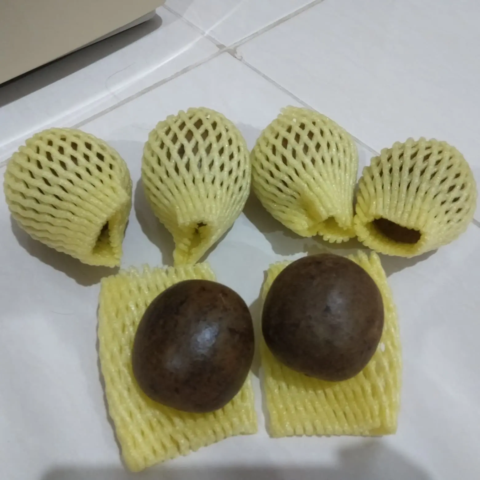 LOHANKUO BUAH ASLI