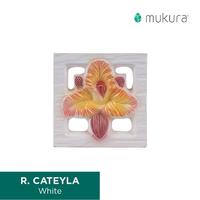 Gambar Roster Keramik Lubang Angin Mukura Bunga Cateyla 20x20cm - Merah Muda dari Roster Granit Mukura Kota Administrasi Jakarta Utara 5 Tokopedia