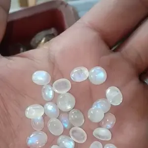 Duri Bulan Biru laut kecil