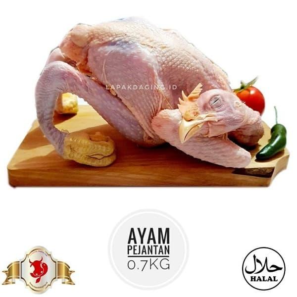 Gambar Ayam Pejantan 0.7 kilogram dari BERKAH JAYA MEAT Kota Administrasi Jakarta Timur Tokopedia