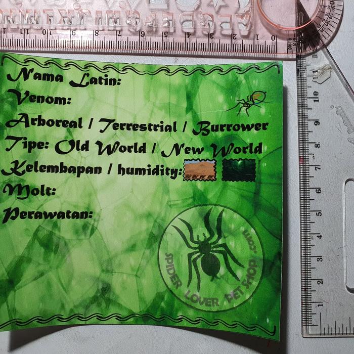 Gambar stiker data untuk tarantula Tulis Dengan Spidol Permanen dari spider lover petshop Kota Bandung Tokopedia