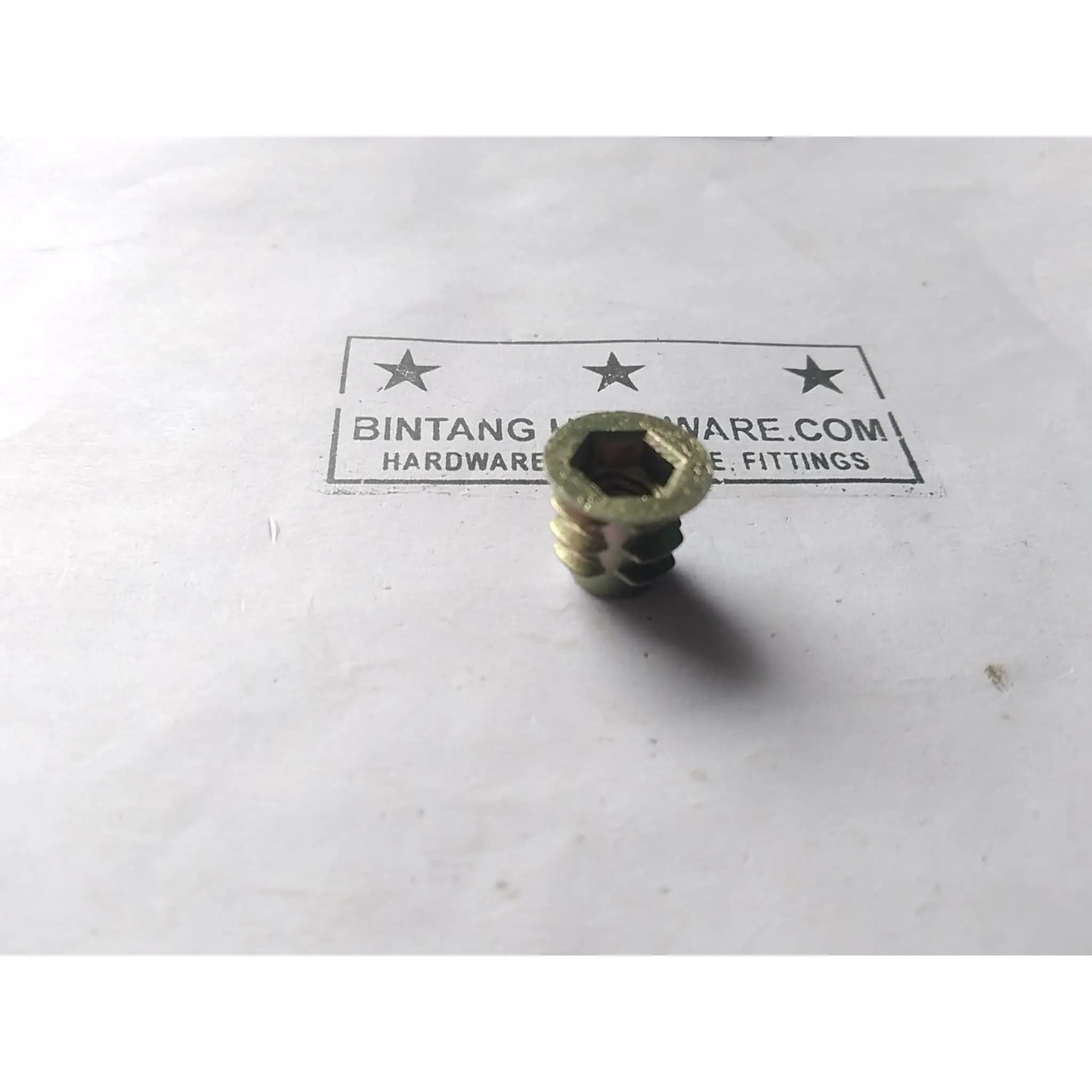Mur Nanas 5mm Mur Tanam Kayu M5 Thread Nut Mur Furniture Murah