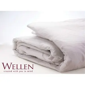 WELLEN PREMIUM Quilt Insert Blanket (Pre Order 3 Days)