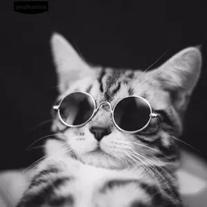 Kacamata Kucing Trendy