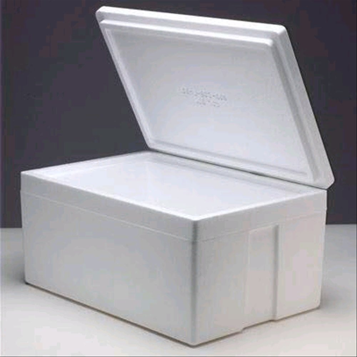 Jual BTW - Styrofoam Box Besar / Kecil – Kotak Gabus Pendingin Makanan ...