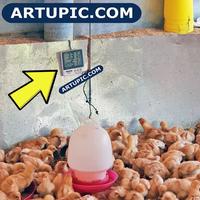 Gambar Thermohygrometer Temperatur Pengukur Suhu dan Kelembapan Udara Kandang dari Artupic Peralatan Peternakan Kota Tangerang Selatan 5 Tokopedia