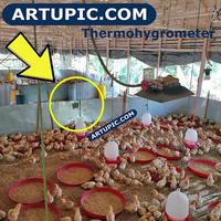 Gambar Thermohygrometer Temperatur Pengukur Suhu dan Kelembapan Udara Kandang dari Artupic Peralatan Peternakan Kota Tangerang Selatan 3 Tokopedia