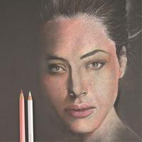 Gambar Faber Castell Polychromos Original Pensil Warna Premium Professional Artist Oil Based Cinnamon dari Faber Castell Indonesia Kab. Bekasi 3 Tokopedia