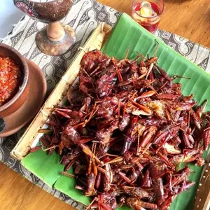 SALE 100k/3PACK!!! Walang Goreng Belalang Goreng Kuliner Gunungkiduli