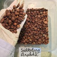 Gambar KOPI ARABIKA SIDIKALANG 500 GRAM BIJI DAN BUBUK - Sutoyo Coffee - BIJI dari Sutoyo Coffee Official Store Kota Bandung 3 Tokopedia