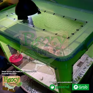 Kandang Reptile Baby Iguana Tegu Bearded Drag dll.