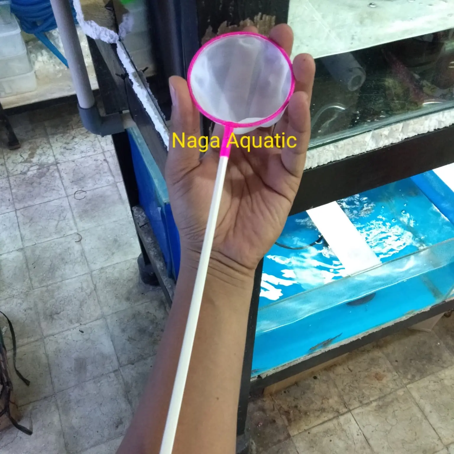 serokan hasil panen artemia/ tanggok artemia