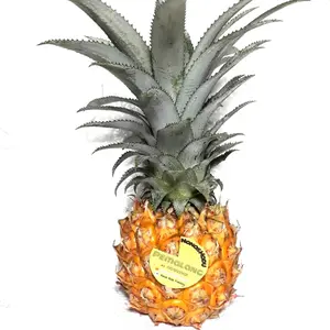 nanas madu 2 buah, belum kupas, fresh, manis seger