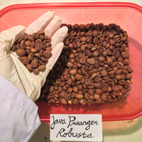 Gambar KOPI JAVA PREANGER ROBUSTA 100 GRAM BIJI DAN BUBUK - Sutoyo Coffee - BIJI dari Sutoyo Coffee Official Store Kota Bandung 3 Tokopedia