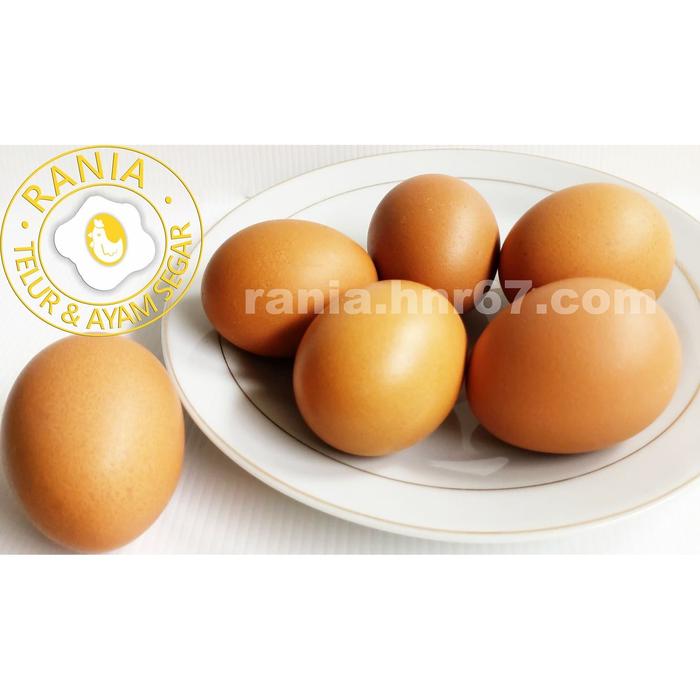 Gambar Agen Telur Ayam Tangerang dari HNR67 Kab. Tangerang Tokopedia