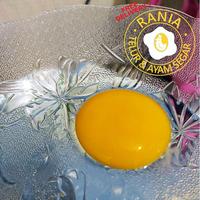 Gambar Agen Telur Ayam Tangerang dari HNR67 Kab. Tangerang 3 Tokopedia