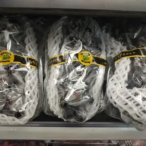 Anggur Hitam Kyoho RRC /pack