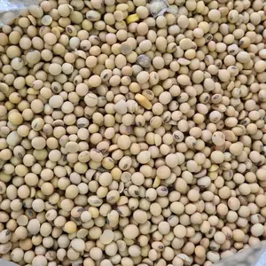 Kacang Kedelai Import 1kg
