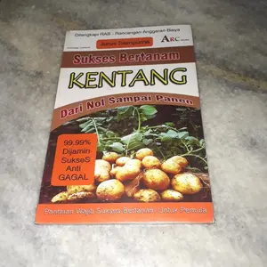 Sukses Bertanam Kentang Dari Nol Sampai Panen