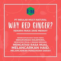 Gambar Organic Ekstrak Jahe Merah dari Insular Multi Natural official Kab. Bogor 2 Tokopedia