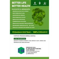 Gambar Pegagan Ekstrak | 100% ekstrak | Meningkatkan kecerdasan dari Insular Multi Natural official Kab. Bogor 4 Tokopedia