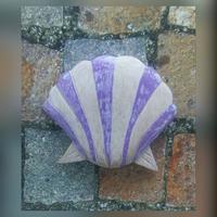 Gambar Magnet Kerang Laut Rustik | Tempelan Kulkas | Magnet Kulkas dari Daun The Gift Shop Kab. Badung 3 Tokopedia