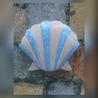 Gambar Magnet Kerang Laut Rustik | Tempelan Kulkas | Magnet Kulkas dari Daun The Gift Shop Kab. Badung 4 Tokopedia