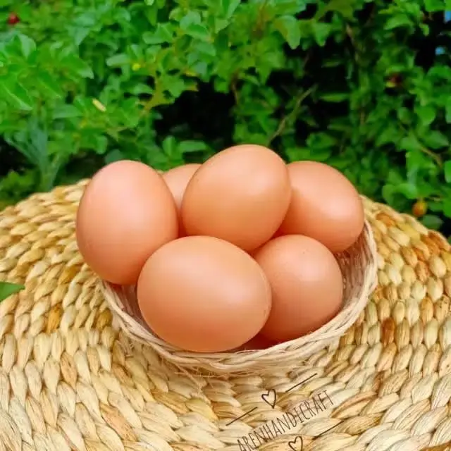 Artificial egg (telur ayam palsu)