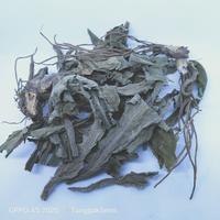 Gambar [ 250g ] tapak liman kering premium dari TUNGGAKSEMI STORE Kab. Jombang 3 Tokopedia