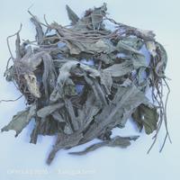 Gambar [ 250g ] tapak liman kering premium dari TUNGGAKSEMI STORE Kab. Jombang 2 Tokopedia