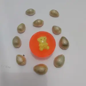 bekel 49 + 10pcs kerang