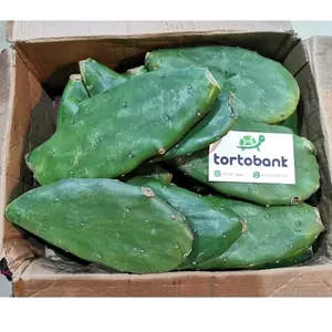KAKTUS CENTONG - MAKANAN KURA DARAT MAKANAN TORTOISE FOOD ( 500 GRAM )