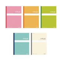 Gambar NCL Slope Line Notebook Set 5pcs / Buku Belajar Menulis Mandarin Kanji dari MIkado Giftshop Kota Administrasi Jakarta Pusat 1 Tokopedia