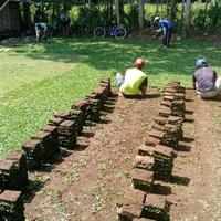 Gambar jual rumput taman ngawi rumput gajah mini rumput jepang rumput golf dari rumput gajah mini 10rb Kab. Malang 2 Tokopedia