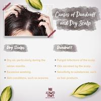 Gambar Bajaj Minyak Almond Hair Oil Drops / Vitamin E / Anti Rontok - 100ml dari Bajaj Almond Drops Kota Tangerang 5 Tokopedia