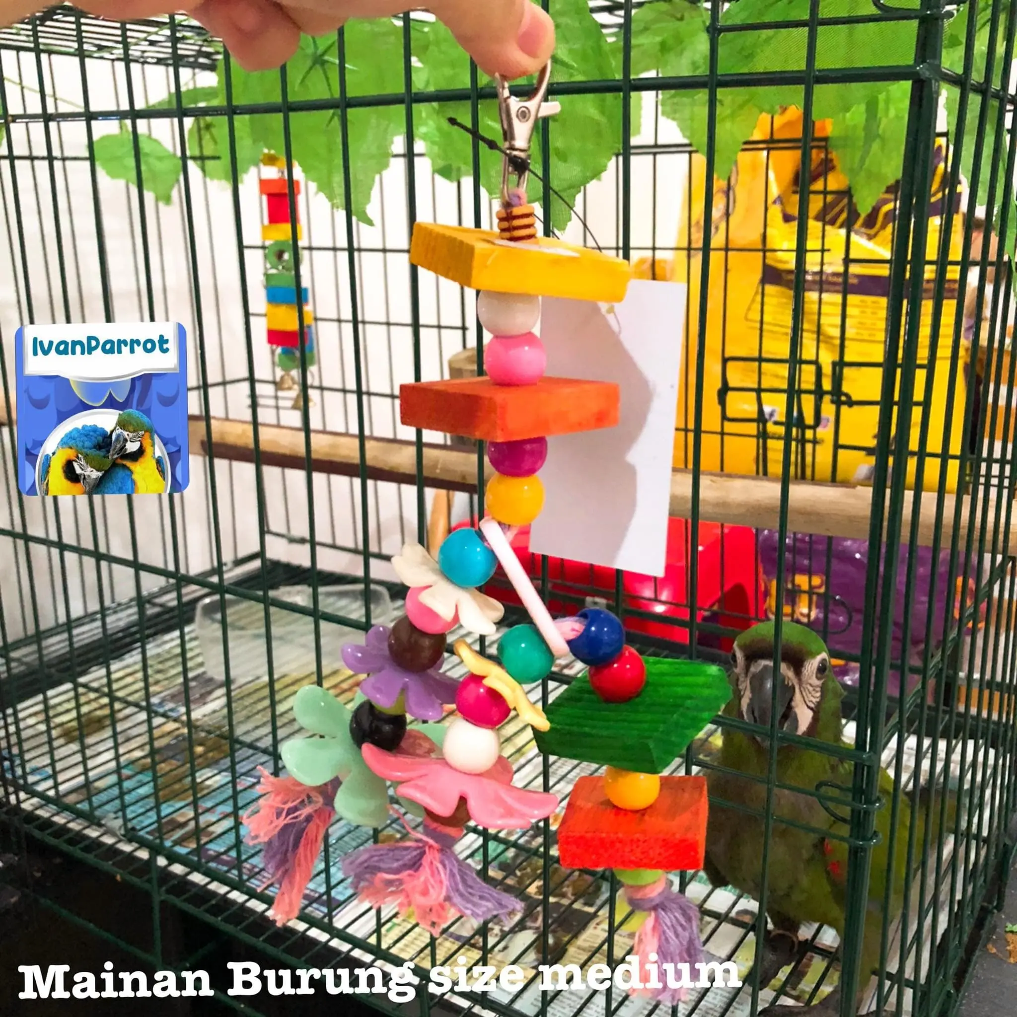 MAINAN KUNYAH BURUNG SIZE MEDIUM IVANPARROT