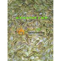 Gambar Benih biji Sengon Laut Albasia Super Berkualitas Unggul dari PUROTANI.ID Kab. Purworejo 3 Tokopedia