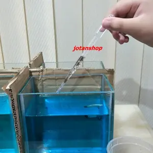 PIPET Plastik 3ml obat pakan ikan cupang artemia kutu air ncu aquarium
