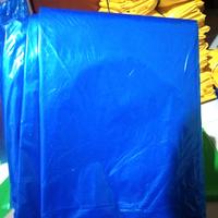 Gambar PLASTIK LAYANGAN KOANG dari andrebenang Kota Tangerang 3 Tokopedia