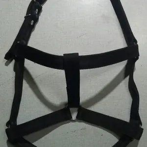 BRONGSONG / BORONGSONG/GACOK/HALTER /HEADCOLLAR
