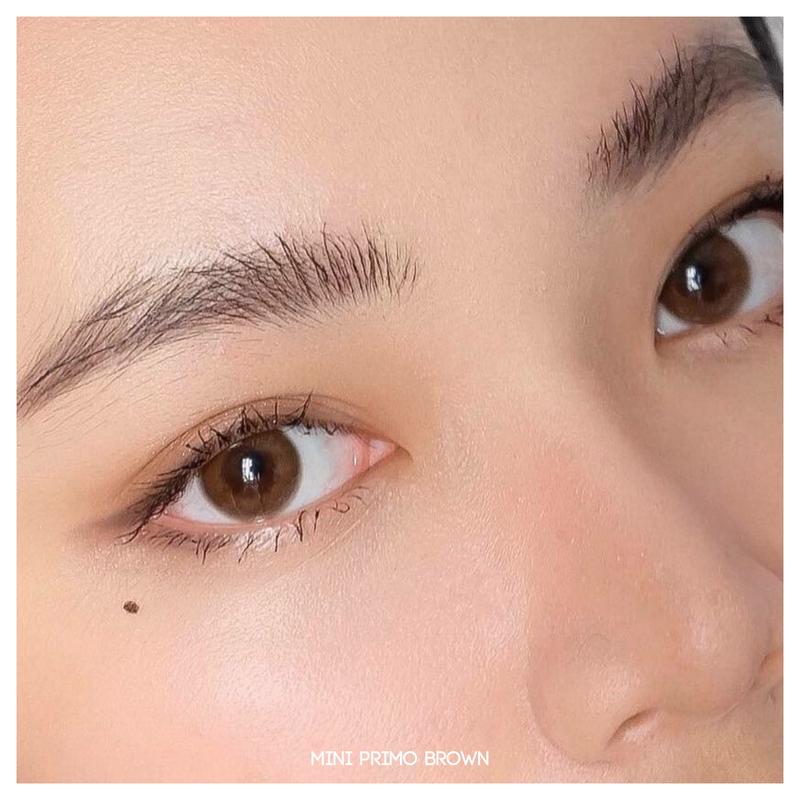 Softlens Primo Brown | Kittykawaii [Mikhayloveshop] 3