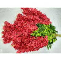 Gambar wisteriajumbolusinan510-bungajuntai bungaartificial - hijau dari Gaby Bella Florist Kota Administrasi Jakarta Selatan 5 Tokopedia