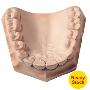 Dental gip stone untuk cor warna pink
