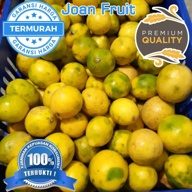 GROSIR TERMURAH 1kg Lemon California Buah Jeruk Lemon Super 1