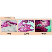 Gambar Jual Celestron LCD Digital Microscope II dari JavaIndoTech Official Kota Bekasi 4 Tokopedia
