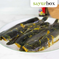Gambar Lele Siap Goreng 500 gram Sayurbox dari Sayurbox Kota Administrasi Jakarta Selatan 1 Tokopedia