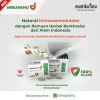 Gambar Herbamuno+ Immune Modulator Starter Pack 4 Strip dari mustikaratuid Kota Administrasi Jakarta Barat 3 Tokopedia