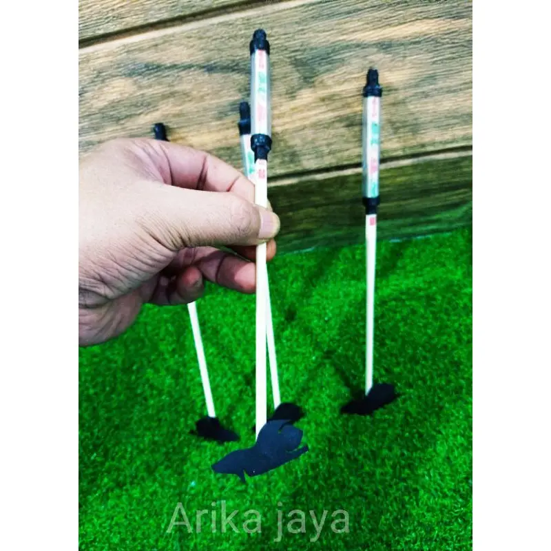 Exclusive latih mental dan gigi cupang aduan wayang stick bangkok 2