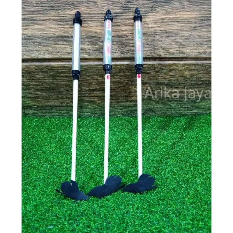 Exclusive latih mental dan gigi cupang aduan wayang stick bangkok 4