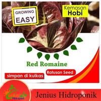 Gambar Benih Bibit Selada Red Romaine / Selada Lettuce Sayuran Selada Merah dari TopHydro Kab. Bekasi 2 Tokopedia